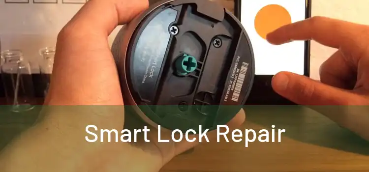Smart Lock Repair
